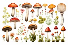 Abstract Watercolor Collection Of Autumn Mushrooms. Hand Drawn Nature Design Elements Isolated On White Background.