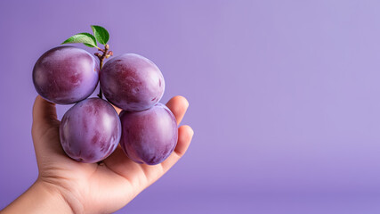 Wall Mural - Hand holding plums fruit isolated on pastel background