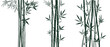 Set of bamboo silhouettes on white background. Bamboo Japanese drawing style. Stems, branches and leaves of bamboo. Vector illustration.