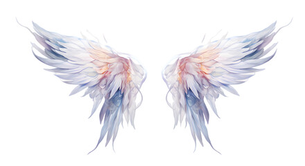 Poster - Beautiful magic watercolor angel wings isolated on transparent background