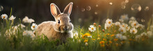 Easter Rabbit In Flowers