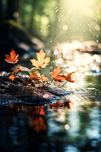 Beauty Of Autumn With This Captivating Macro Shot Of Vibrant Autumn Leaves Gracefully Floating On A Tranquil Stream