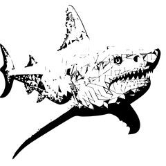 Poster - Shark Vector