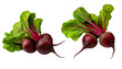 Bunch of beets