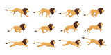 Fototapeta Fototapety na ścianę do pokoju dziecięcego - Lion Run Cycle 2d Animation Reference High Quality Customizable Vector Illustration