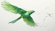 a picture of a green kite bird , capturing its vibrant hues and dynamic movements as it soars high above, set against a pristine white backdrop for a visually pleasing contrast.