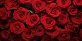 Fototapeta Kwiaty - Countless Red Roses, Overhead view, Inscription effect method, romanticism
