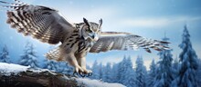 Winter Scene In Nature With Flying Eagle Owl Landing On Snowy Tree Stump.