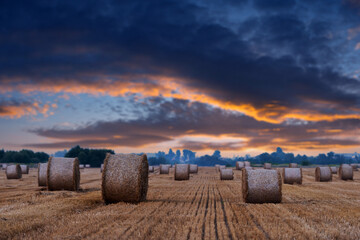 Wall Mural - The sun setting behind an agricultural expanse adorned with rounded hay bundles. Rural landscape with straw rolls and dramatic sunset sky