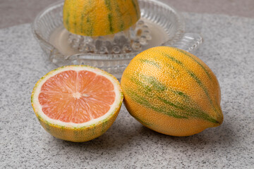 Wall Mural - Whole and halved tiger lemon and glass juicer close up 