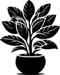 Clusiaceae plant icon 11
