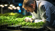 Scientist Examining Young Seedlings in a High-Tech Indoor Hydroponic Farming Facility at Night