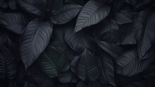 A Close Up Of Black Leaves