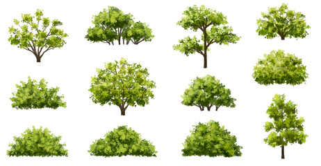 Wall Mural - vertor set of green tree,plants side view for landscape elevations,element for backdrop,eco environm