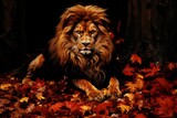 Fototapeta Dziecięca - Wildlife, Lions in Natural Habitats - Majestic Lions to Tiny Insects. King of the jungle