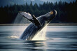A humpback whale breaches the surface of the water, its massive tail slapping against the surface. The whale is a majestic creature, and it is a sight to behold.