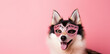 Cheerful dog in a masquerade mask on a pink background with copyspace