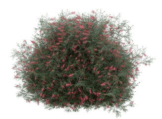 Sticker - Various types of red flowers grass bushes shrub and small plants isolated