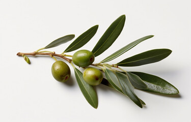 Wall Mural - Olive branch with olives on white background