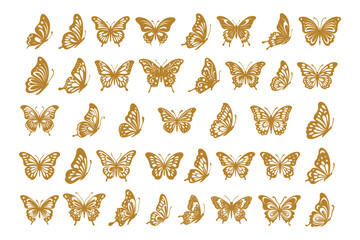 Wall Mural - vector monarch butterfly contour silhouette set cutout insect wing wing animal summer spring nature 