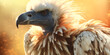 Vertical closeup of a cape vulture under the sunlight at daytime on a blurred space, Majestic Soar: The Griffon Vulture Chronicles, close up of a eagle, Close up portrait of a bald eagle