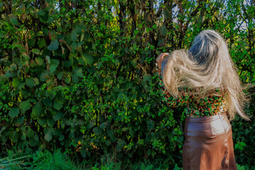 Wall Mural - Rear view of elegant senior adult woman tousling her long gray hair, hand touching hair, sunlight illuminating her, brown skirt, green with black blouse, sunny day in the park, bush in the background
