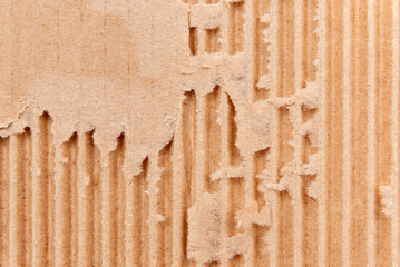 Poster - Texture of torn cardboard. Corrugated cardboard background