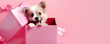 Cute happy puppy peeking out of a gift box on a pink background