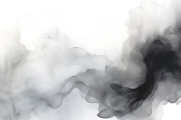 Wall Mural - abstract black ink and water wash on white background