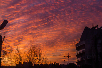 Wall Mural - Crimson sunset over the city