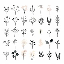 A Collection Of Minimalist Vector Logos, Timeless Whimsical Logos For Florist Shop, Simple Shapes And Lines, White Background