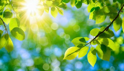 Wall Mural - blurred bokeh portrait background of fresh green spring summer foliage of tree leaves with blue sky and sun flare illustration