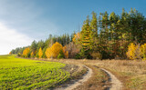 Fototapeta Natura - Spring landscape with beautiful rural road in the countryside