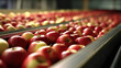 Fresh apples on conveyor belt