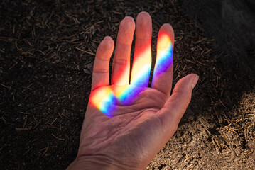 Wall Mural - Rainbow hand,