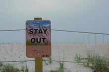 Stay Out Of The Dunes Sign White And Green At Sunset Beach In Treasure Island, Florida. On A Large Brown Wood Post With Large Light Colored Ropes . Green Grass, Sea Oats And Sand In The Background. 