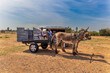 donkey cart, woman and child in front of a street vendor in a shack buying snacks, informal settlement