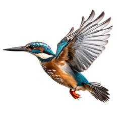 Wall Mural - Flying kingfisher isolated on a transparent background.