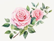 ピンクの薔薇の花のイラスト　Generative AI