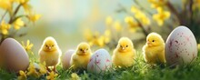 A Festive Easter Background Adorned With Colorful Easter Eggs And Cute Yellow Chicks On Lush Green Grass, Creating A Cheerful And Vibrant Scene.