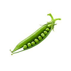 Green pea clip art