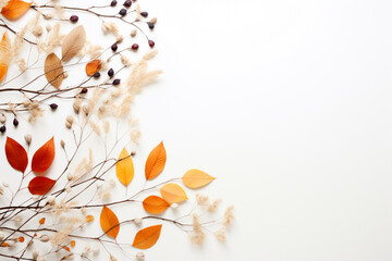 Wall Mural - Autumn colorful leaves on white background with copy space.