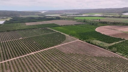 Poster - Birds Eye view of agricultural fields