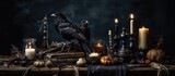 Black magic ritual with bird feathers and raven toes placed on a witch's altar, encompassed by magical items, crystals, herbs, seeds, and bones - an occult sorcerer's rite of witchcraft.