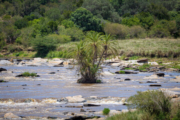 Canvas Print - river