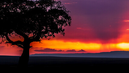 Canvas Print - silhouette at sunset