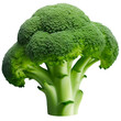 broccoli on a transparent background