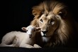 Lion and lamb best friends animals isolated on black