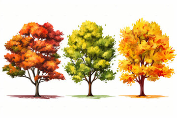 Wall Mural - Three autumn tree isolated on white background