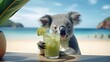 Funny koala drinking cocktail on beach 